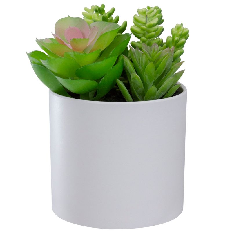 Northlight 5.5" Mixed Artificial Succulent Arrangement in a White Pot