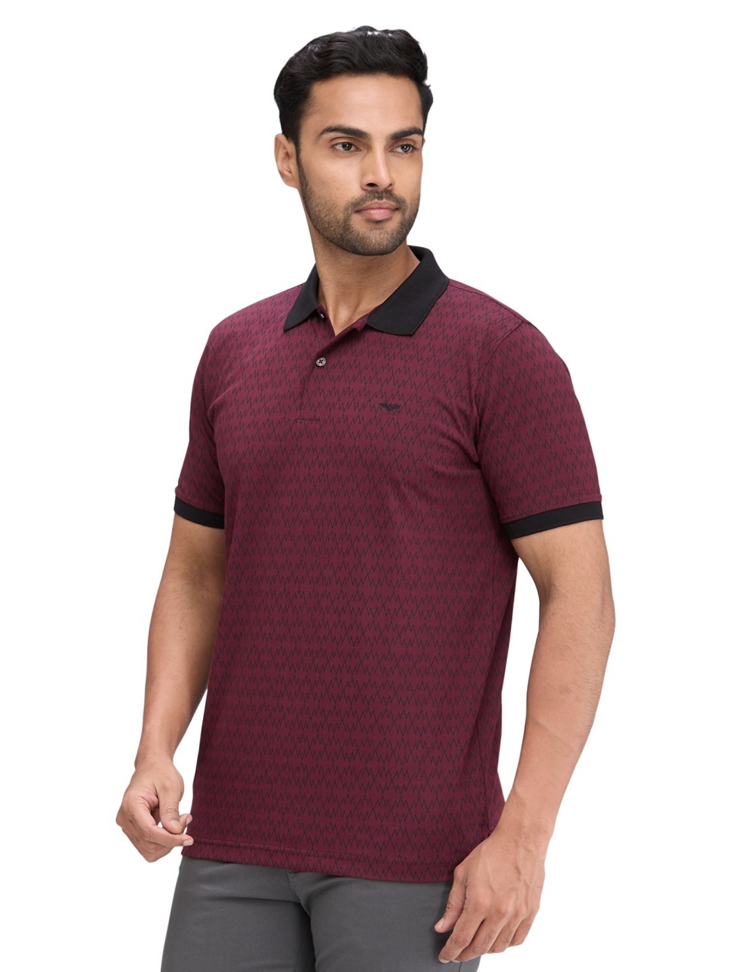 Park Avenue Maroon Slim Fit Printed Polo T-Shirt
