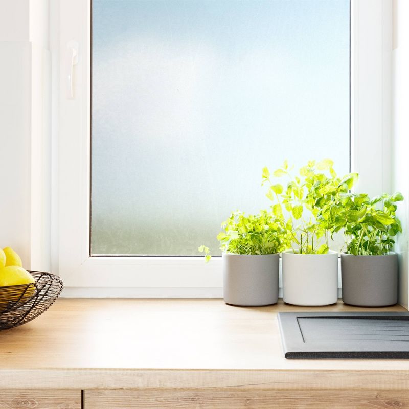 Brewster Set of 2 Ice Flowers Window Film