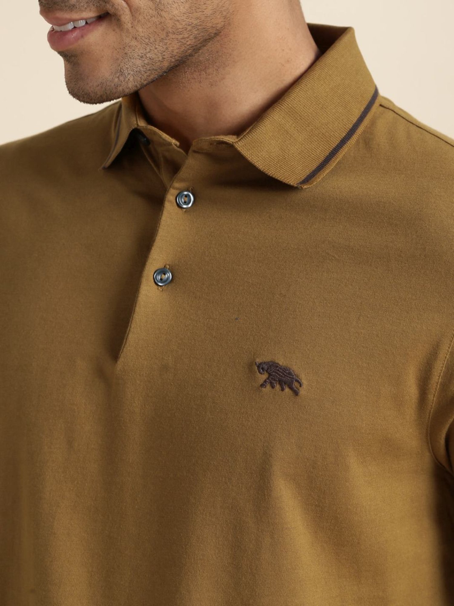 Andamen Green Regular Fit Polo T-Shirt