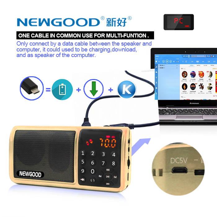 NEWGOOD Portable Speaker Super Bass with USB/TF/3.5mm AUX/FM Radio hifi digital audio player with Two micro SD card slot and LED flashlight (golden)