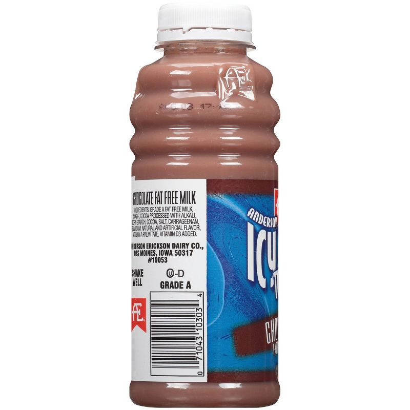 Anderson Erickson Skim Chocolate Milk - 12 fl oz