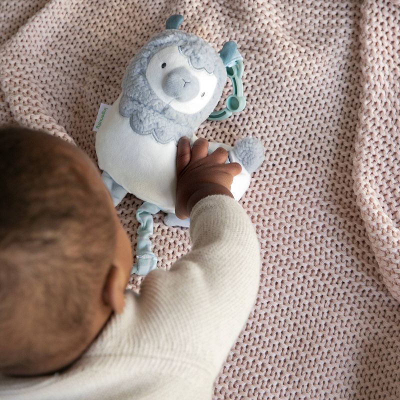 Ingenuity Cria Musical Toy