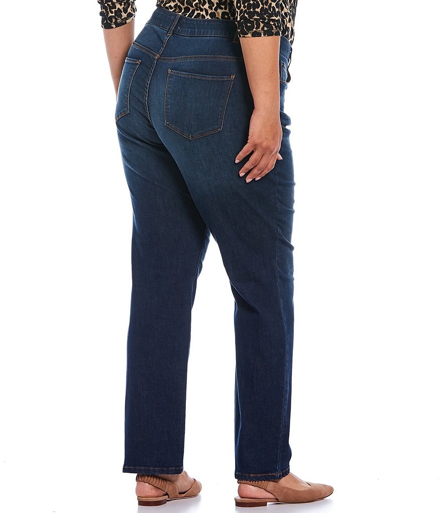 Westbound Denim Plus Size THE FIT FORMULA Slim Straight Jeans