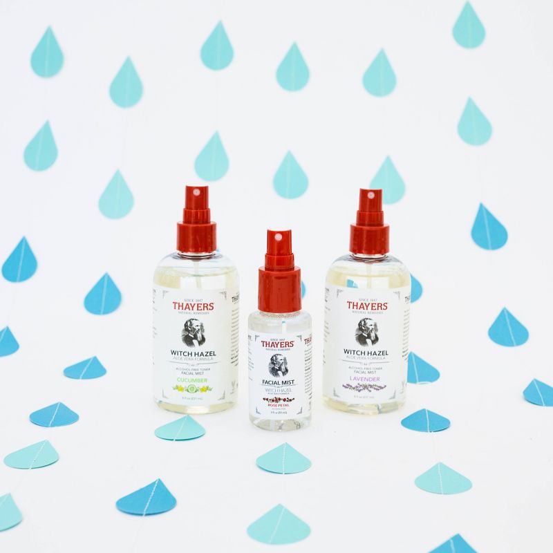 Thayers Natural Remedies Lavender Face Mist - 8 fl oz