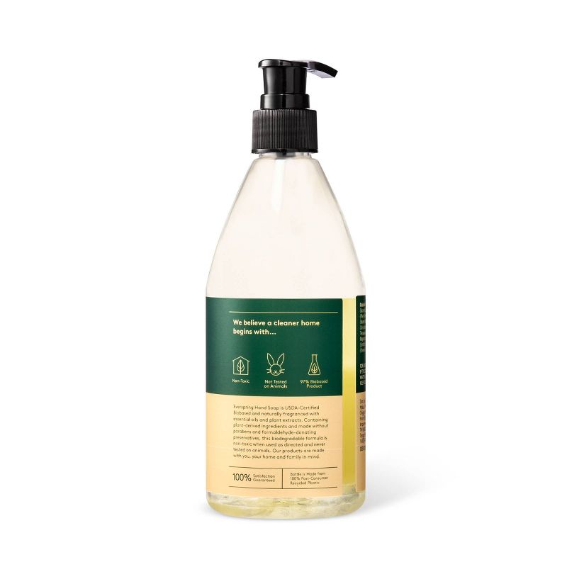 Mandarin & Ginger Liquid Hand Soap - 12 fl oz - Everspring™
