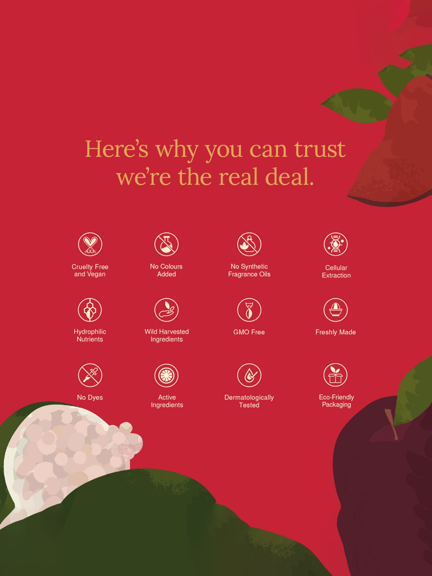 Rivona Naturals Beetroot Lip Balm - 8 gm