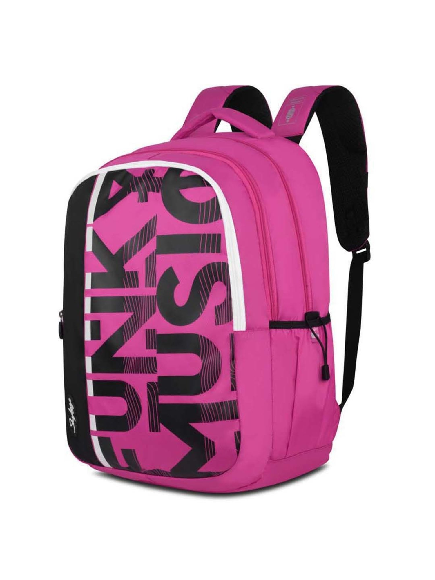 Skybags Stan Pro 01 35 Ltrs Pink Medium Backpack