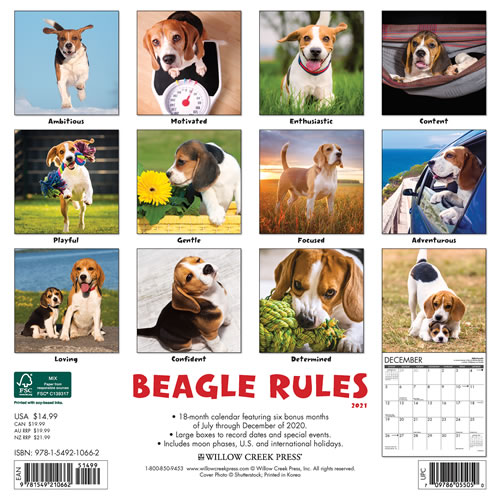 2021 Beagle Rules Wall