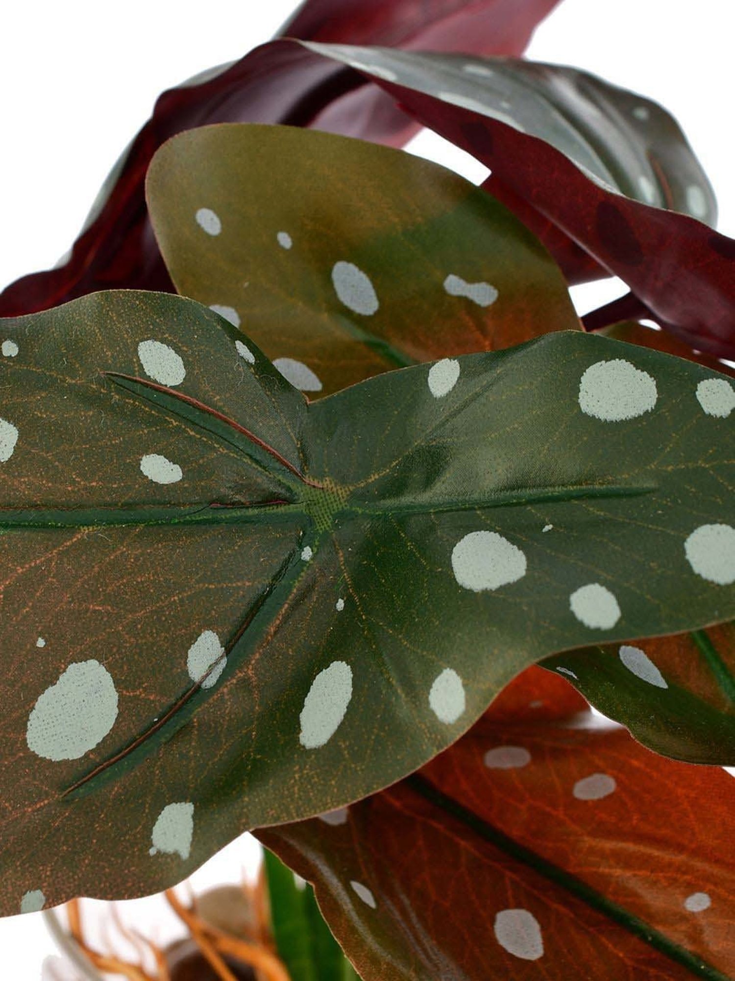 Tayhaa Green Ceramic Planter With Artificial Spotted Begonia Plant