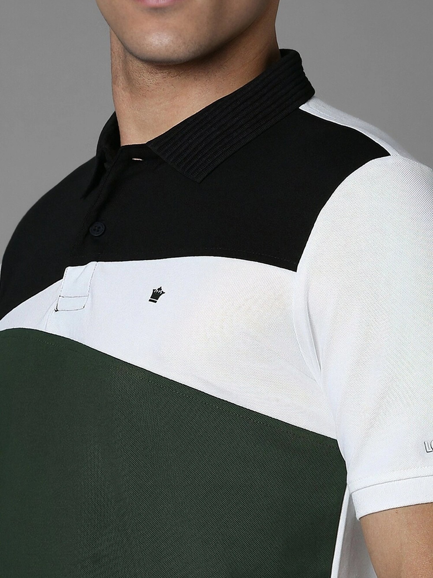 Louis Philippe Green Regular Fit Colour Block Polo T-Shirt