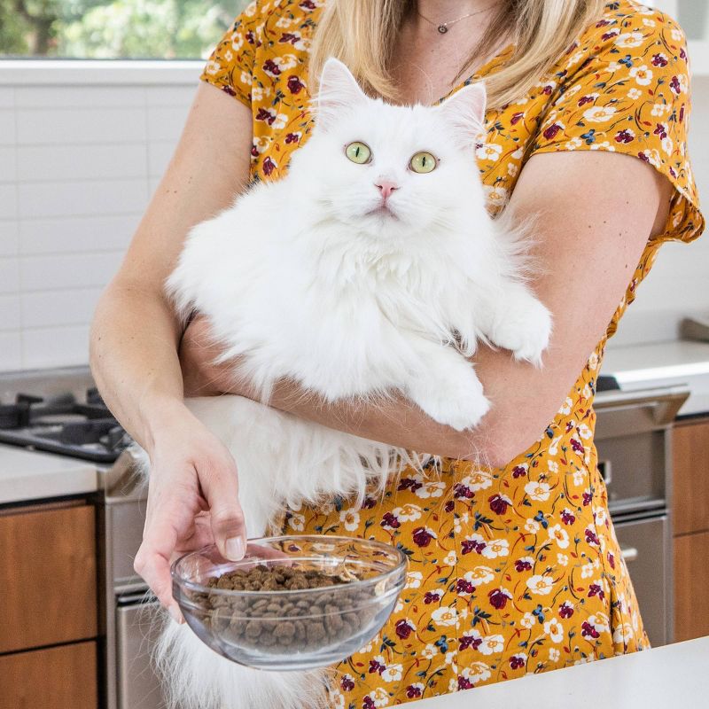 I and Love and You Naked Essentials Indoor Health with Chicken & Turkey Adult Premium Dry Cat Food - 3.4lbs