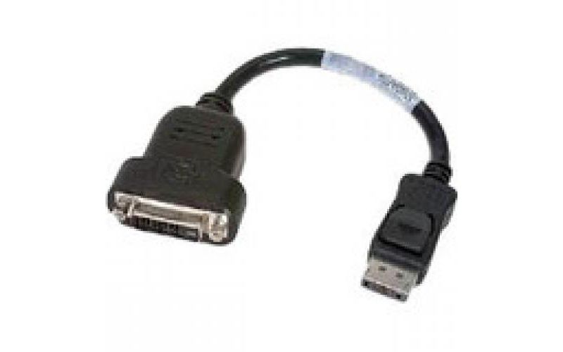 PNY DisplayPort to DVI Cable - DisplayPort/DVI Video Cable - 10"