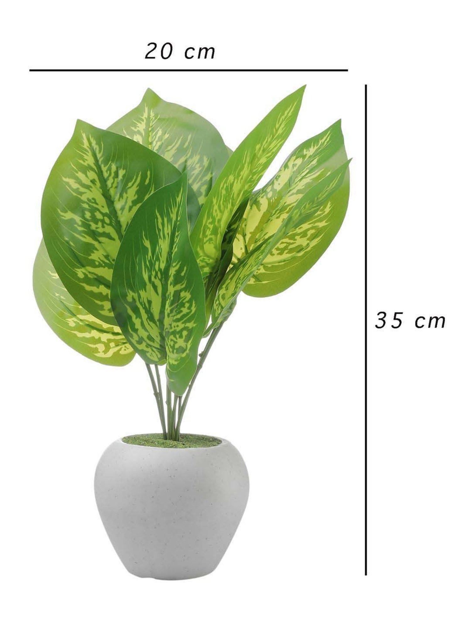 Foliyaj Multicolor Plastic Artificial Money Plant With Apple Shaped Pot