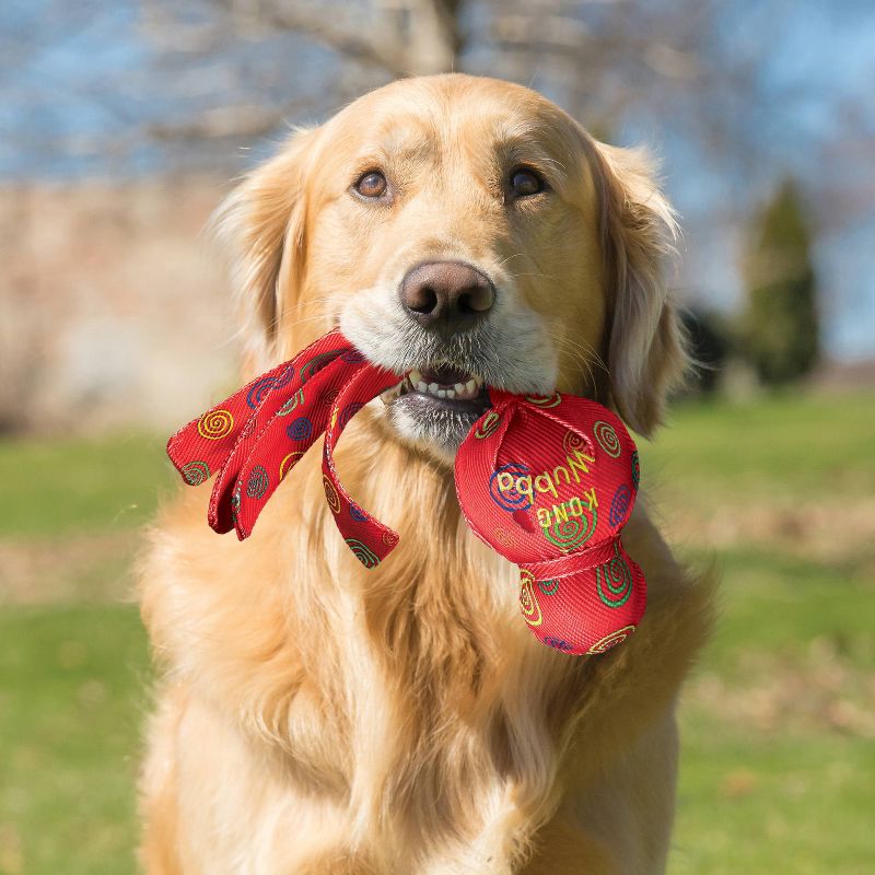 KONG Wubba Toss & Fetch Dog Toy - Red - S