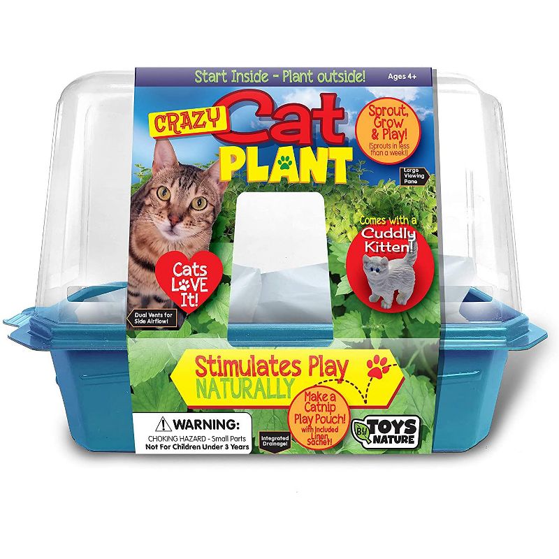Toys By Nature Miniture World Terrariums - Crazy Cat Plant, Catnip