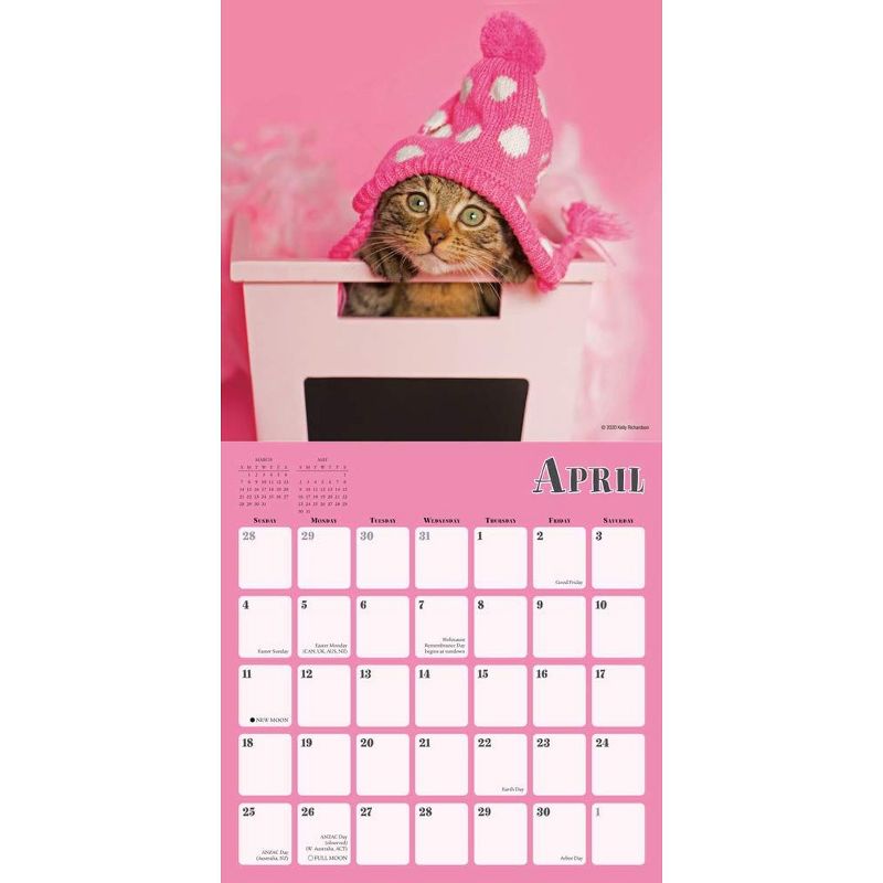 2021 Cats in Hats 16-Month Wall Calendar [Calendar] Sellers Publishing