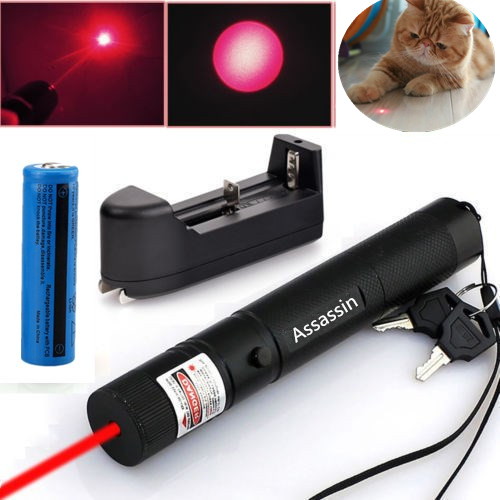 Vesine 2.4GHz RF Wireless Presenter with USB Receiver Red Light Professional PowerPoint PPT Clicker Presentation Remote Control Pointer Pen Support Hyperlink Volume Control Rechargeable for School & O