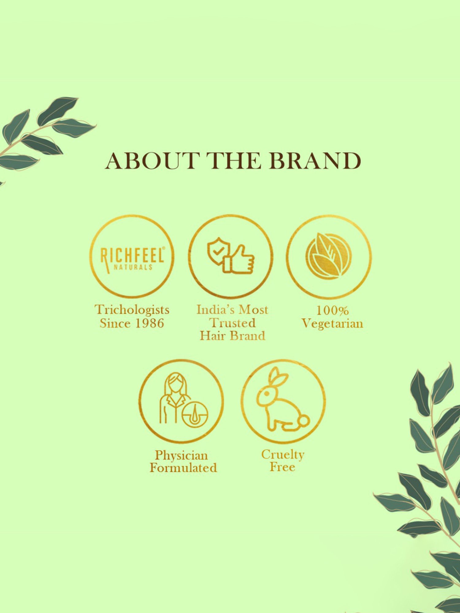 Richfeel Brahmi Intensive Repair Hair Pack (500 gm) - Pack of 3