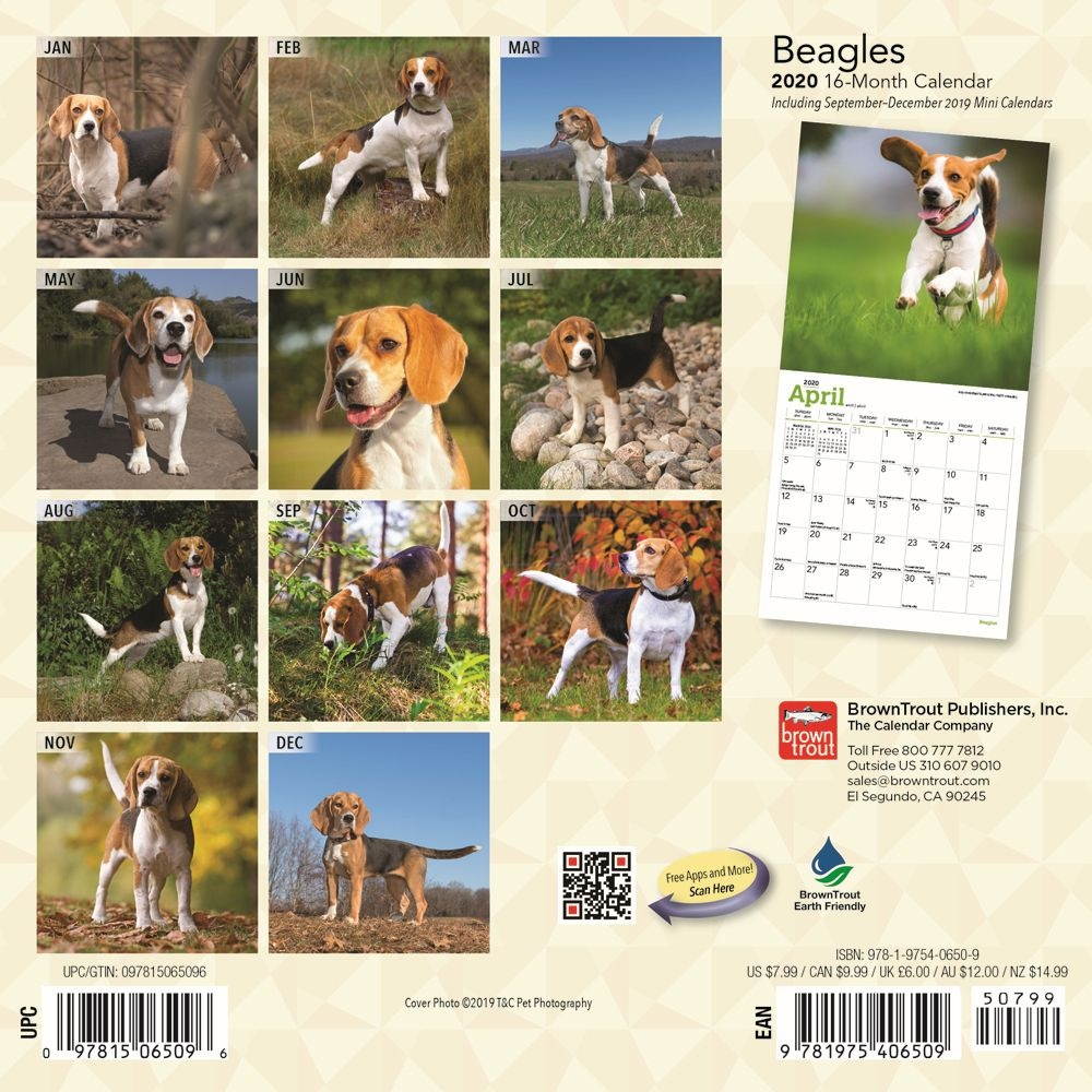 BrownTrout,  Beagle 2021 Mini Wall Calendar 2021