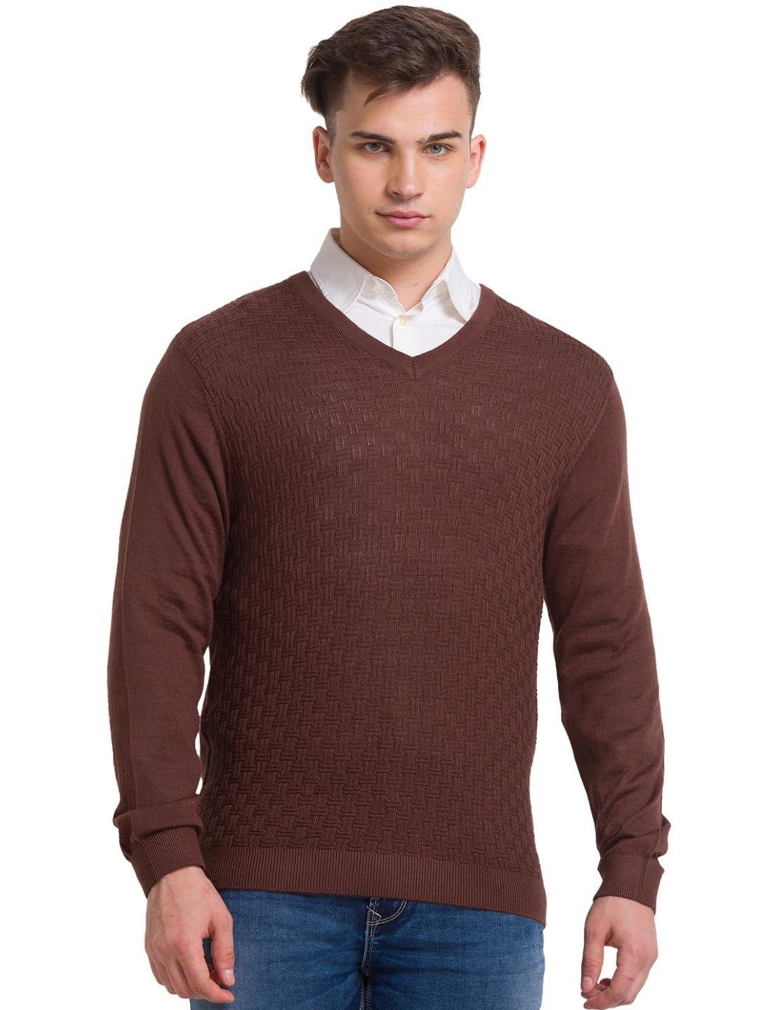 ColorPlus Brown Tailored Fit Self Pattern Sweater