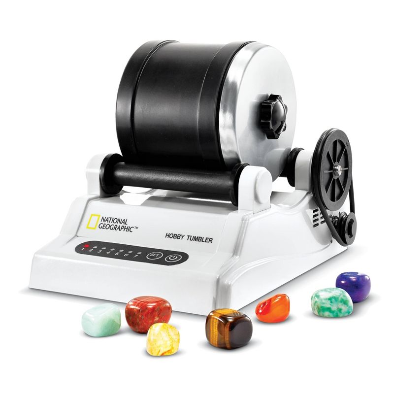 Prehistoric Sea Creatures Terrarium - Thinkbox