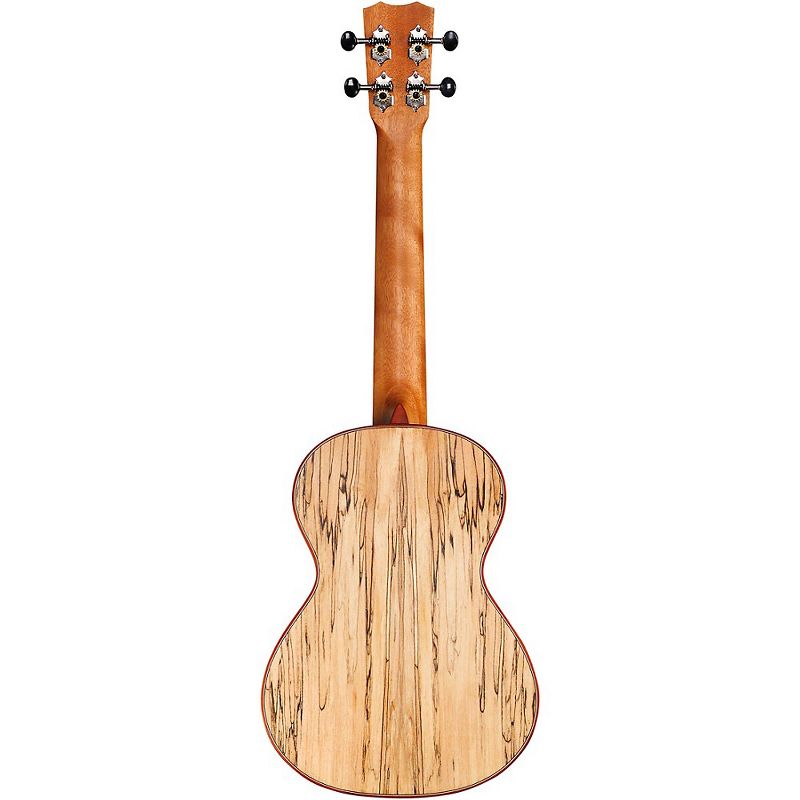 Cordoba 24T Spruce Spalted Maple Tenor Ukulele Natural