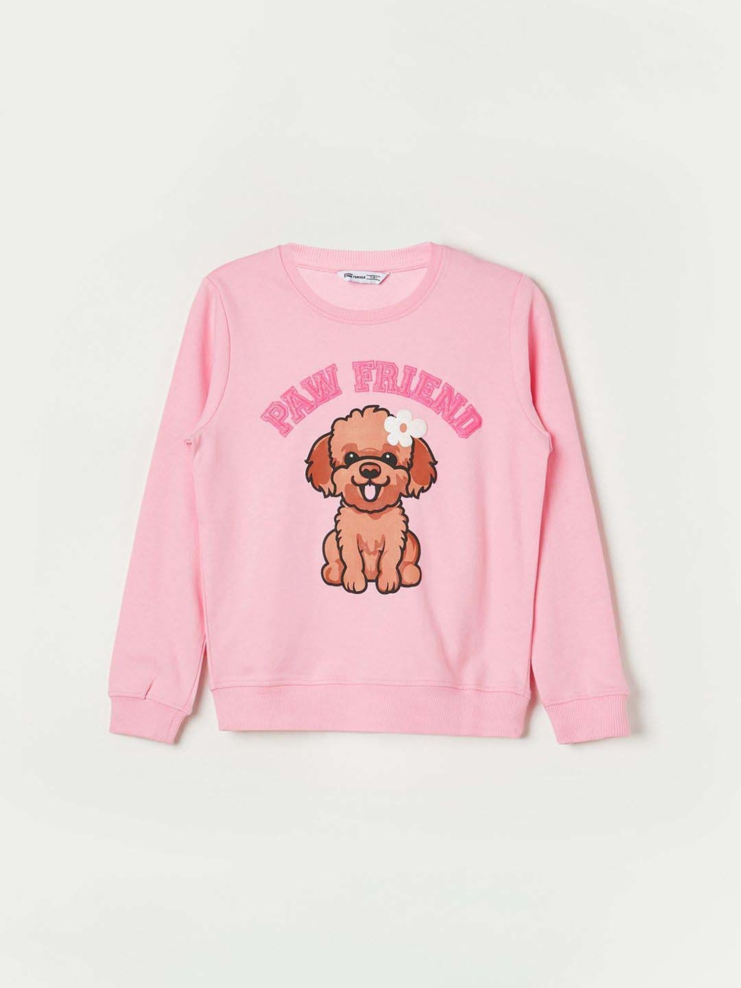 Fame Forever by Lifestyle Girls Pink Cotton Printed Full Sleeves Sweatshirt