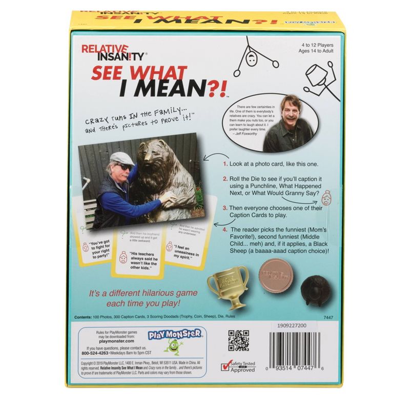 Playmonster Relative Insanity: See What I Mean Game