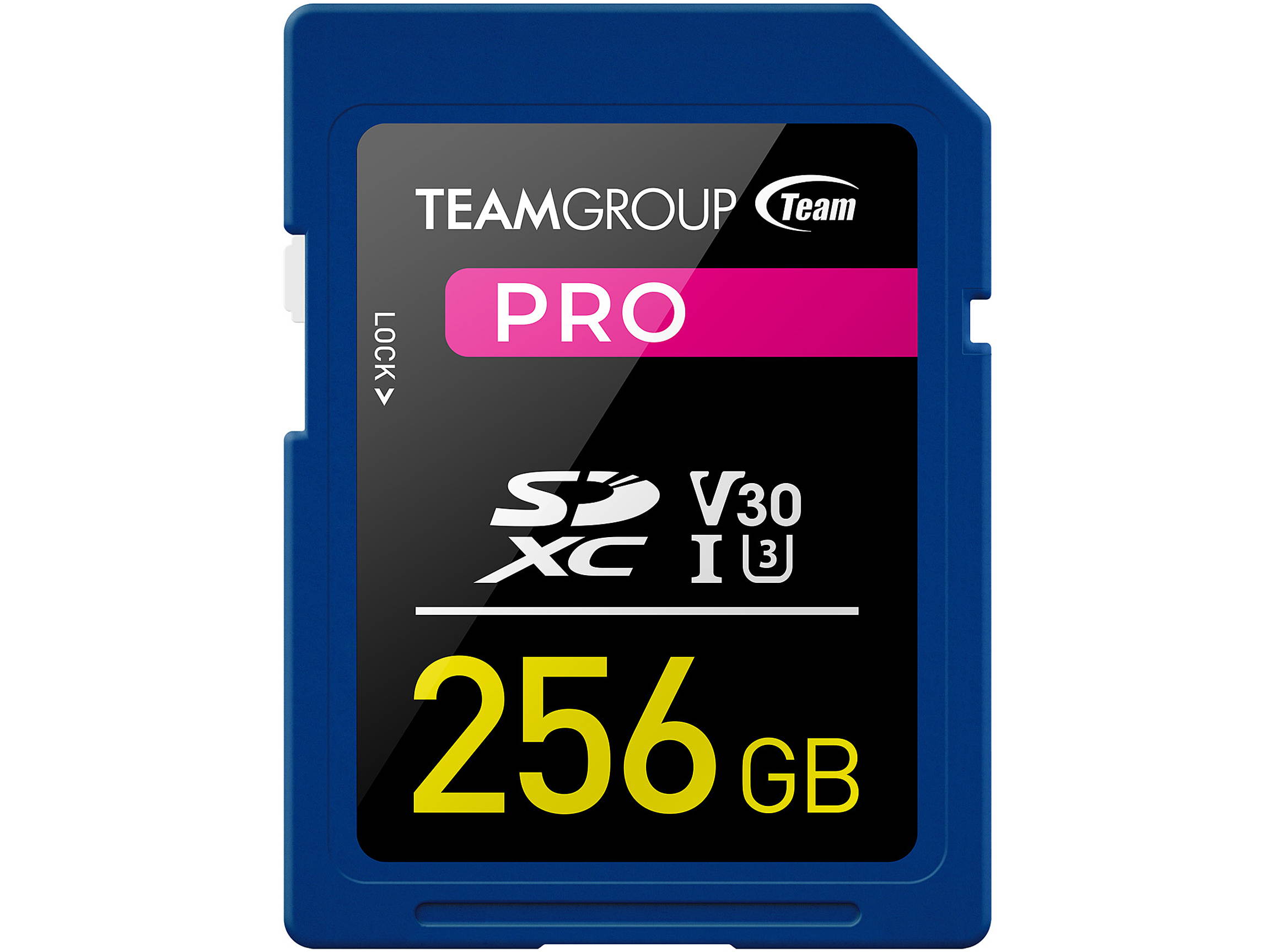 Team Group 256GB Pro SD Card UHS-I U3 V30 Read/Write Speed Up to 100/90MB/s (TPSDXC256GIV30P01)