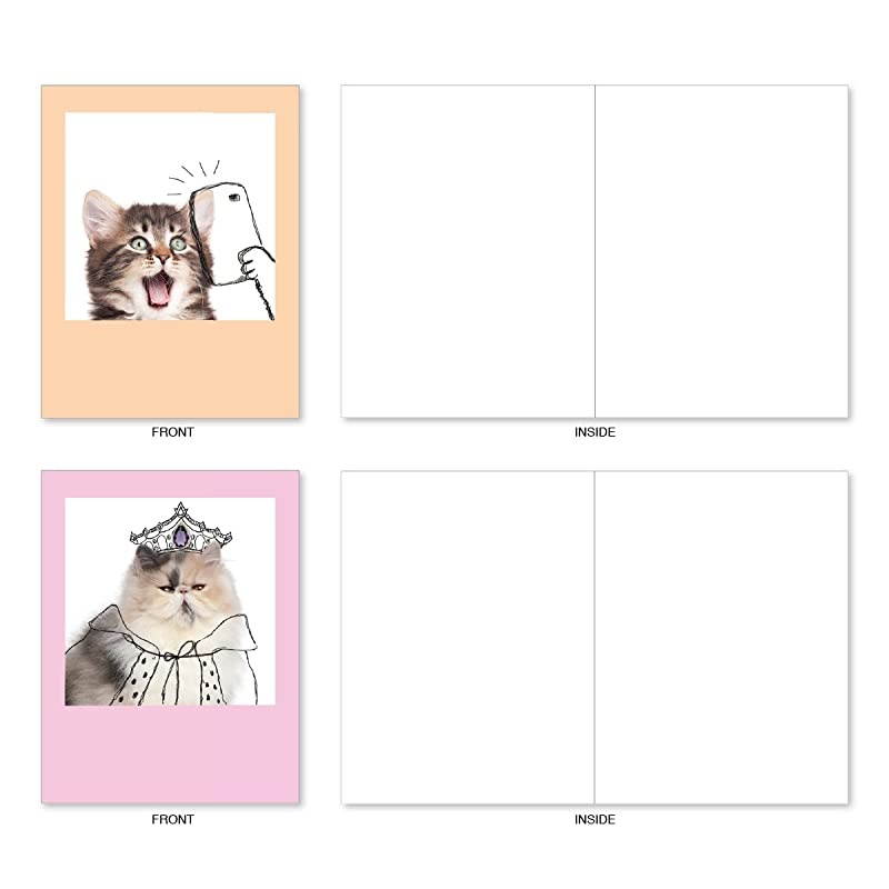 10 All Occasion Blank Cat Cards 4 x 512 Inch Cute Assorted Bulk Card Set Feline Graffiti M6583OCB