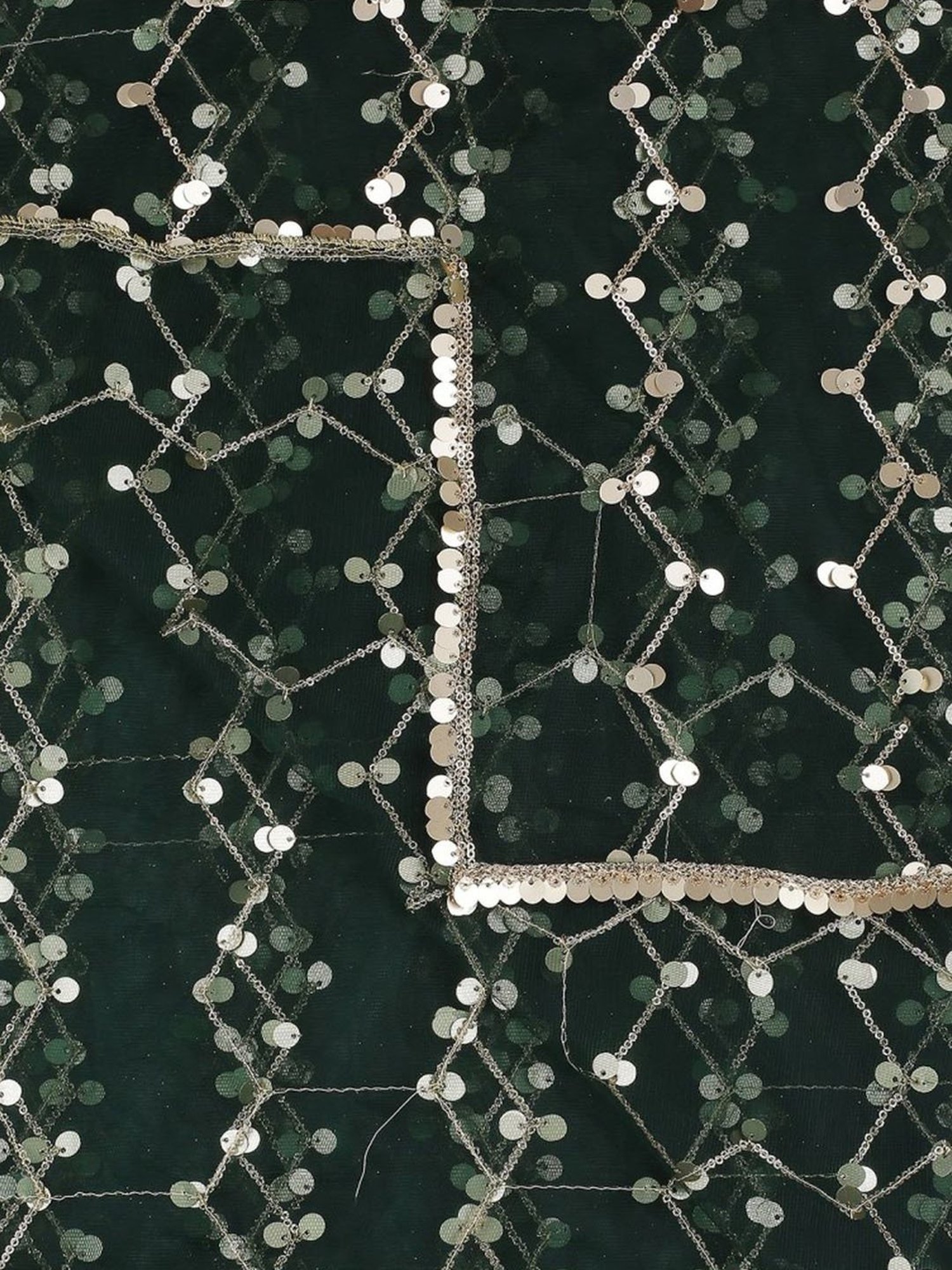 Dupatta Bazaar Green Embellished Dupatta