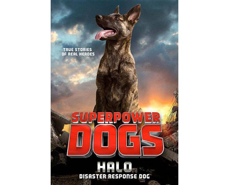 Superpower Dogs : Halo, Disaster Response Dog -  by Stephanie Peters (Paperback)