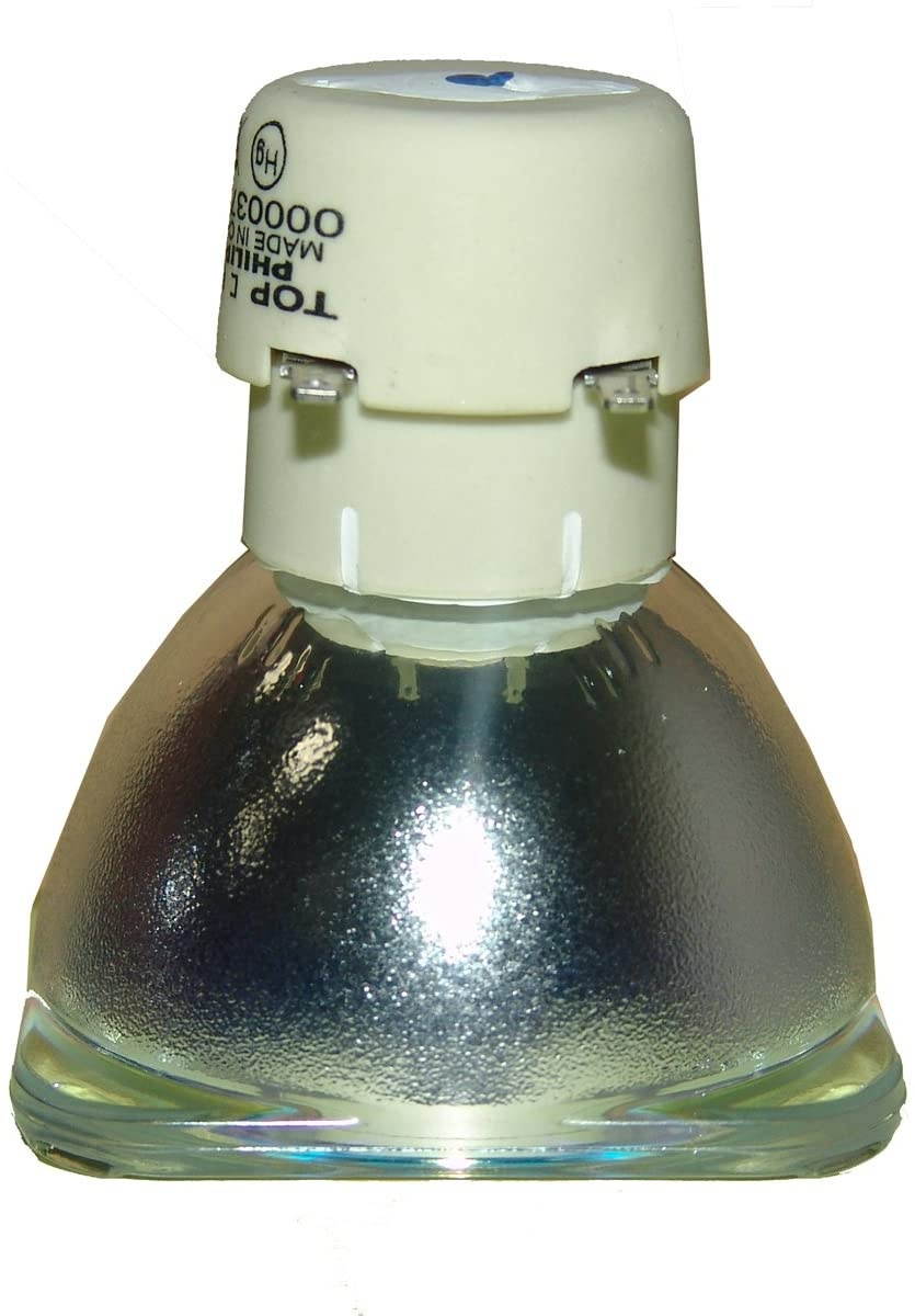 OMAIC Projector Lamp Bulb for Epson ELPLP67/ V13H010L67 Home Cinema PowerLite 500 707 710HD 750HD, W12 S12 EX5210 EX7210 EX3210 EX3212 VS210 VS220 X12 Replacement Projector Lamp/Bulb