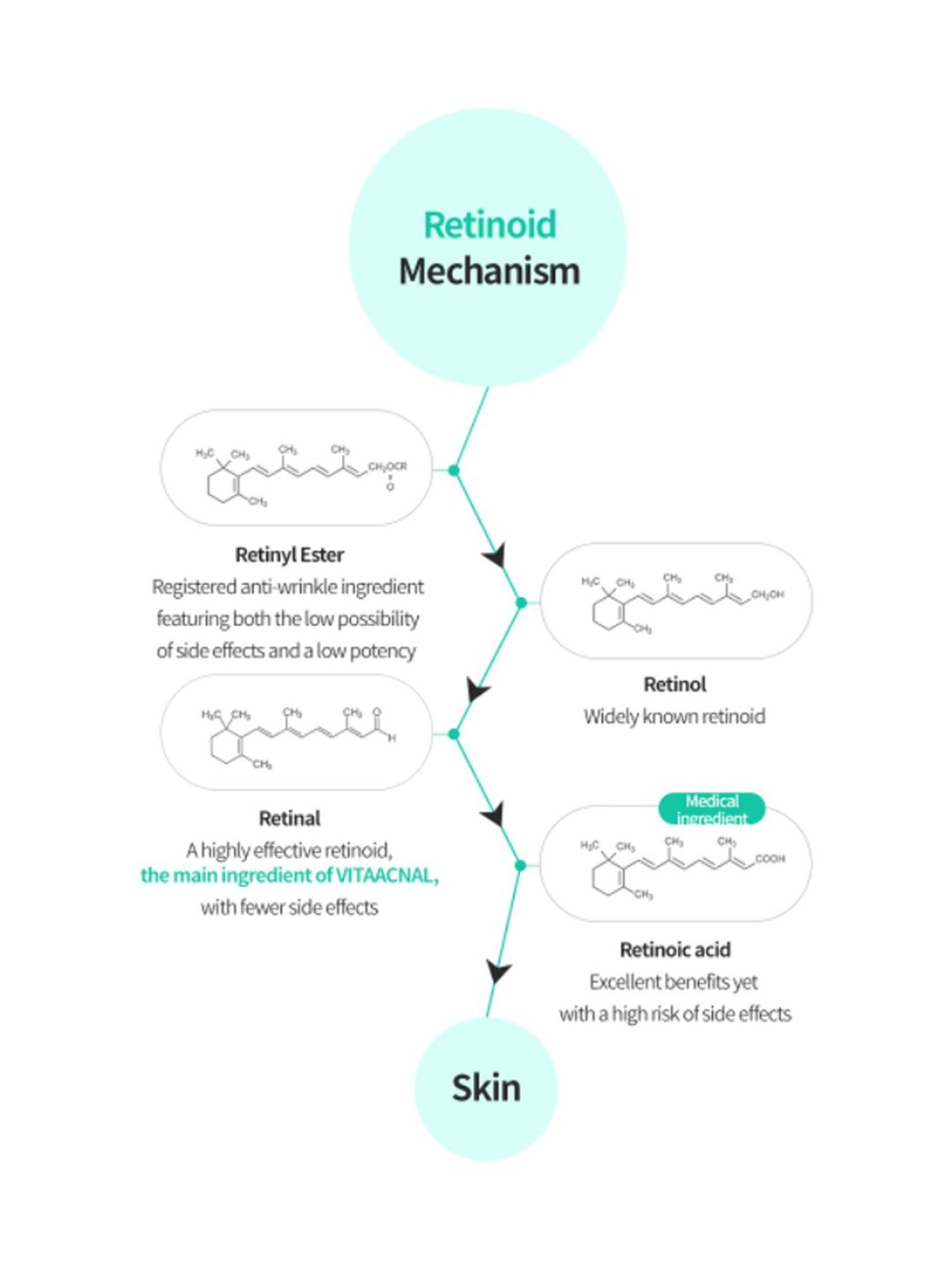 Biotique Wheatgerm Anti-Ageing Night Cream - 50 gm