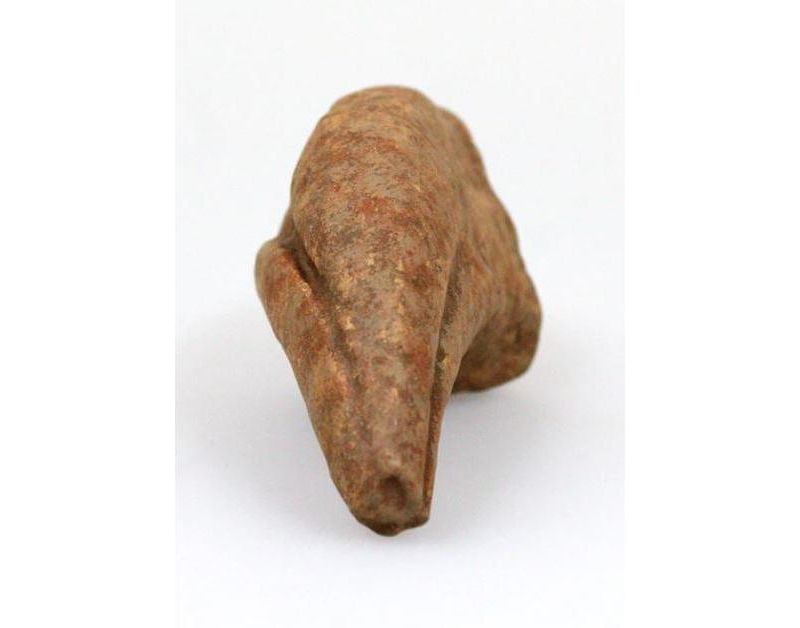 Master Replicas Smithsonian T-Rex Claw Full-Scale Resin Fossil Replica