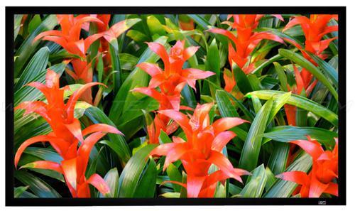 Elite Screen R135DHD5 Website Link 135"(16:9) CineGrey 5D Projector Screen