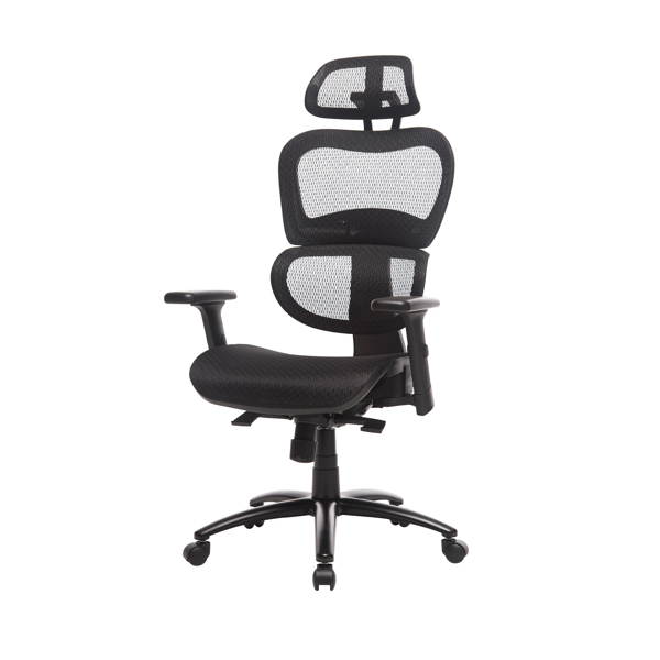 Ergonomic Office Chair Mesh Chair Computer Chair Desk Chair High Back Chair with Adjustable Headrest and Armrest