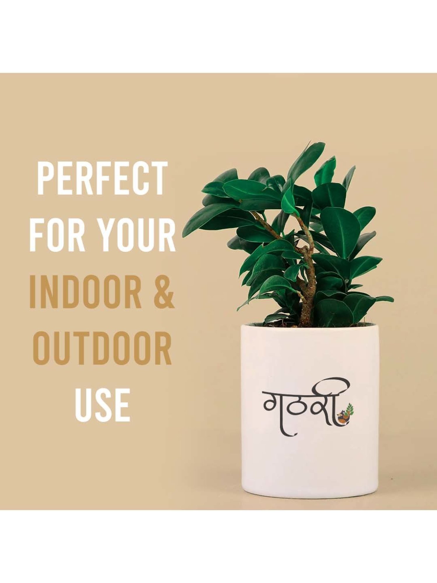 Gathari White & Black Ceramic Desk Planter