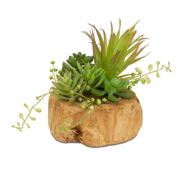 Melrose 6.5" Succulent Artificial Plant Arrangement in a Driftwood Planter - Green/Brown