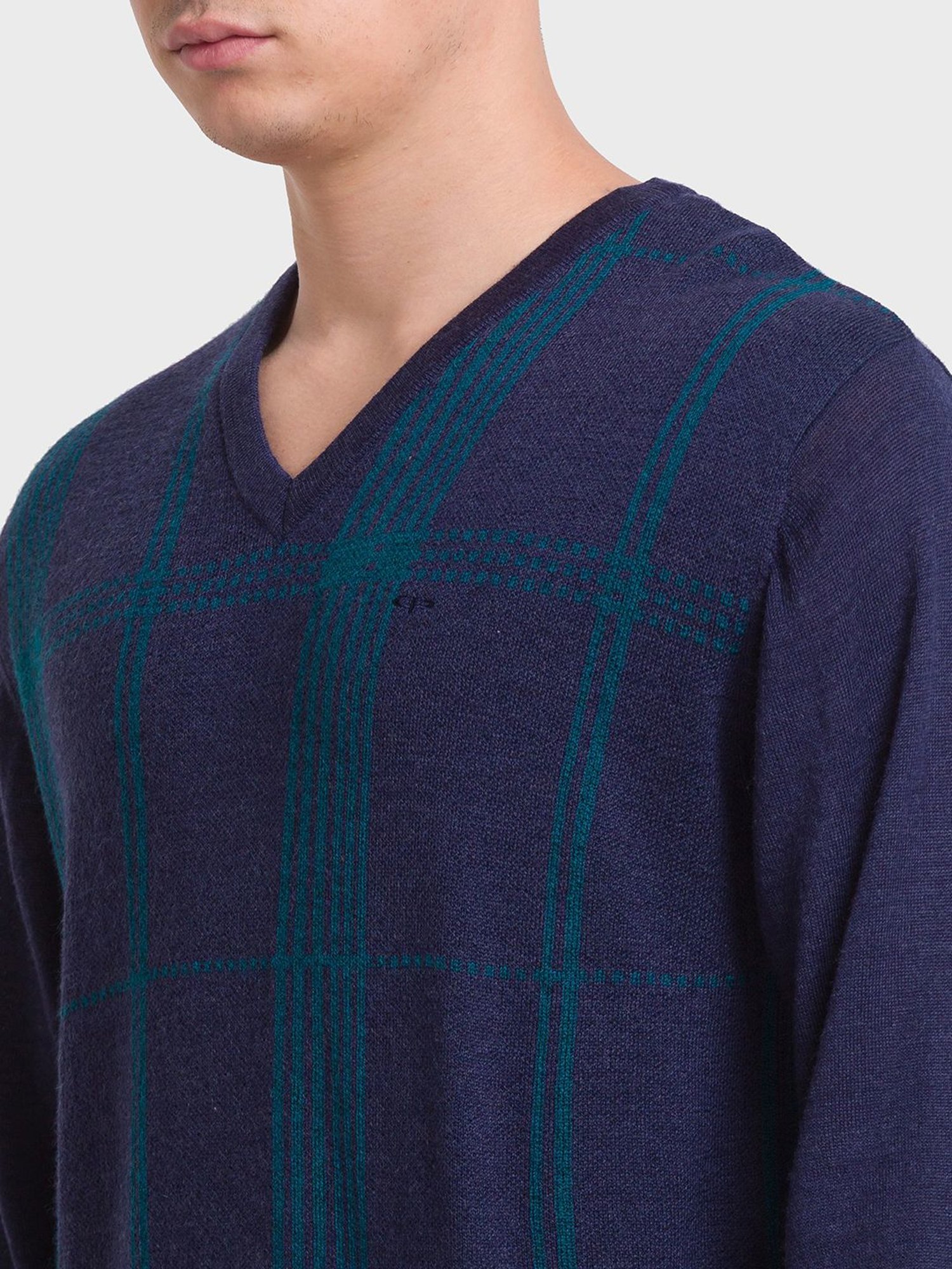 ColorPlus Blue Tailored Fit Checks Sweaters