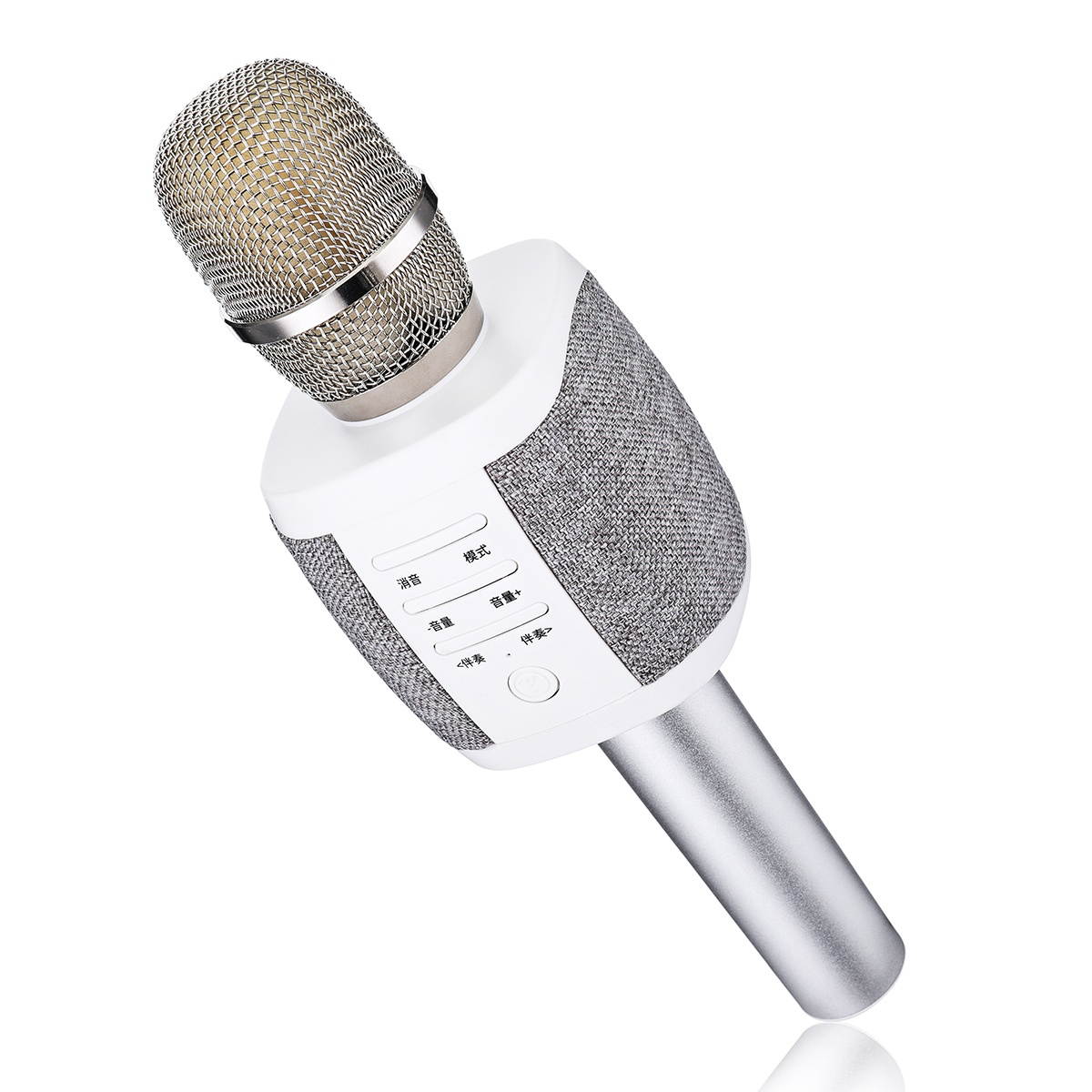 bluetooth Wireless Microphone Speaker for Recording Voice for Karaoke