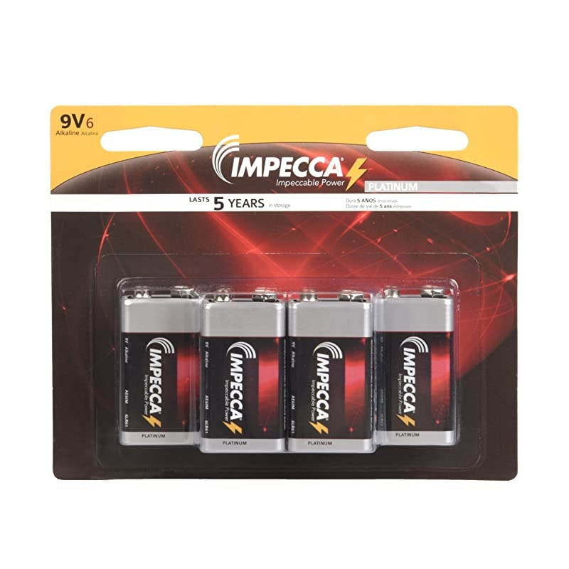 9 Volt Batteries Premium Alkaline 24Pack High Performance Ultra Long Lasting and LeakResistant AllPurpose 9V 24 Count 6LR61 Platinum Series