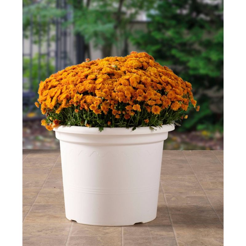 13.25" x 17.5" Indoor/Outdoor Resin Geo Planter White - Alfresco Home LLC