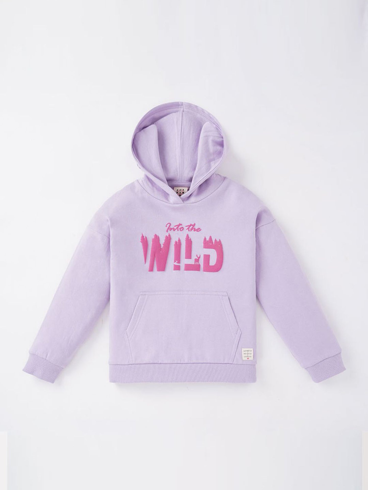 KIDS ONLY Blue Cotton Embroidered Full Sleeves Sweatshirt