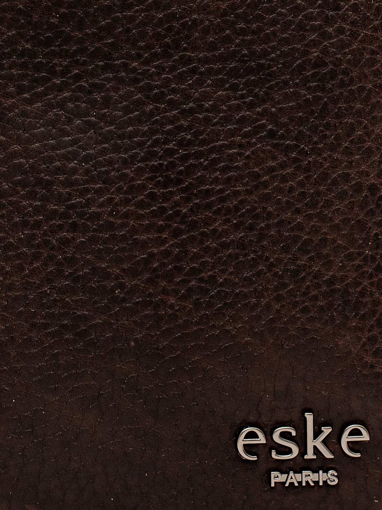 Eske Reed Dark Brown Solid Small Passport Holder