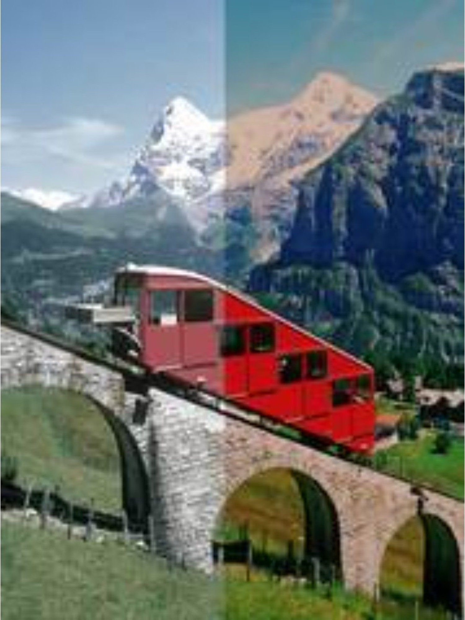 Vincent Chase by Lenskart VC S13984 Brown Round Sunglasses