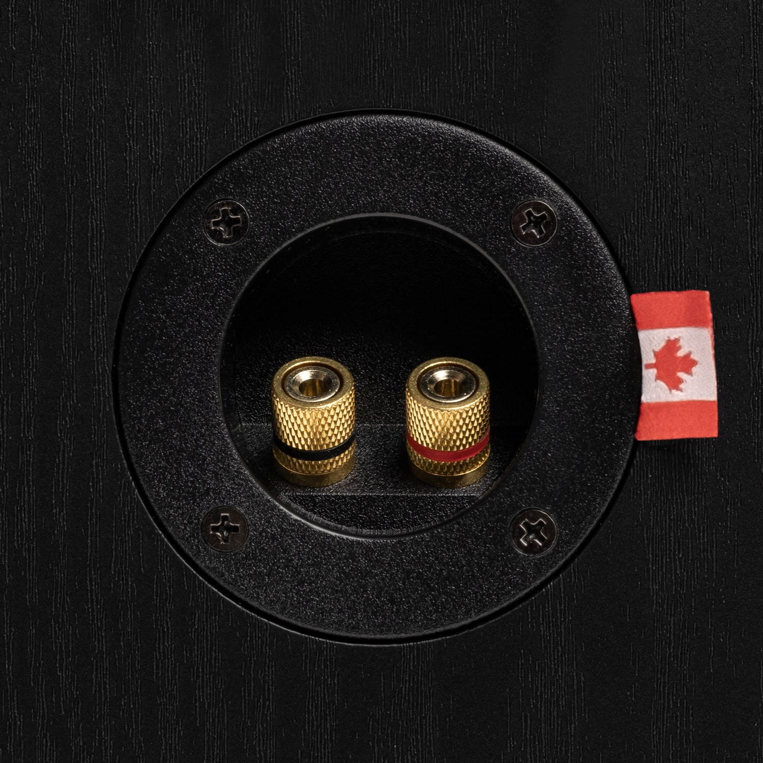 Fluance Reference High Performance 2-Way Center Channel Speaker for Enhanced Dialogue and Vocals in Home Theater Surround Sound Systems - Black Ash (XL8C)