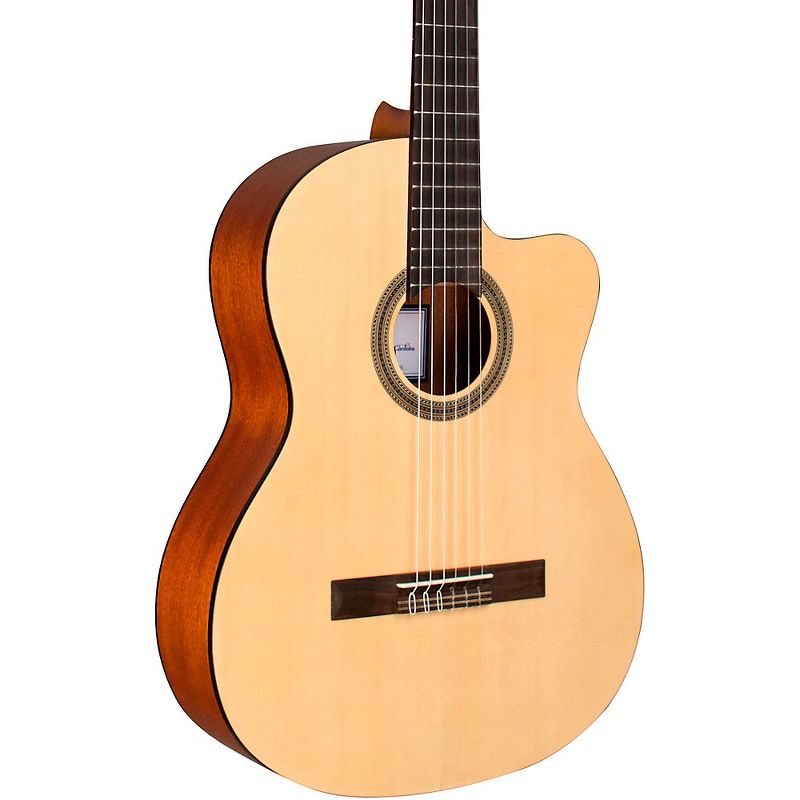 JN Guitars Elijah Series ELI-DCE Dreadnought Cutaway Acoustic-Electric