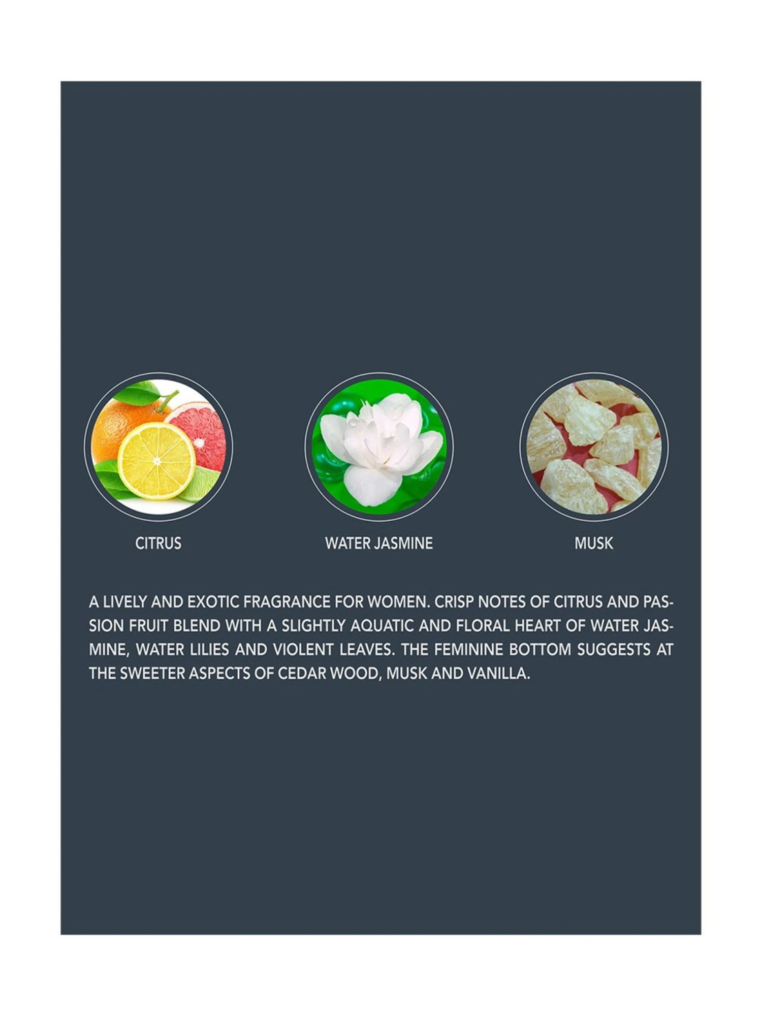 Beverly Hills Polo Club No.8 3in1 Shower Cream for Hair, Face & Body for Women - 150 ml